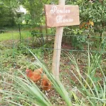 Du Bois Fleuri Fonties-Cabardès