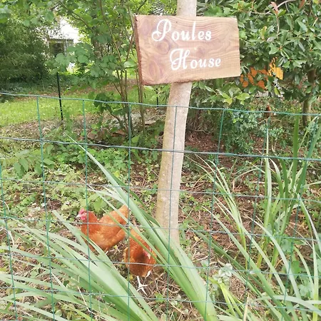 Du Bois Fleuri Fontiers-Cabardes