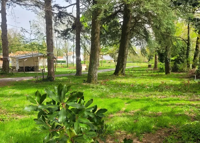 Du Bois Fleuri Fonties-Cabardès